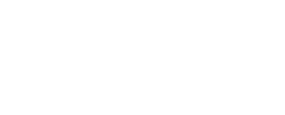 HDIT — Connect. Innovate. Scale.